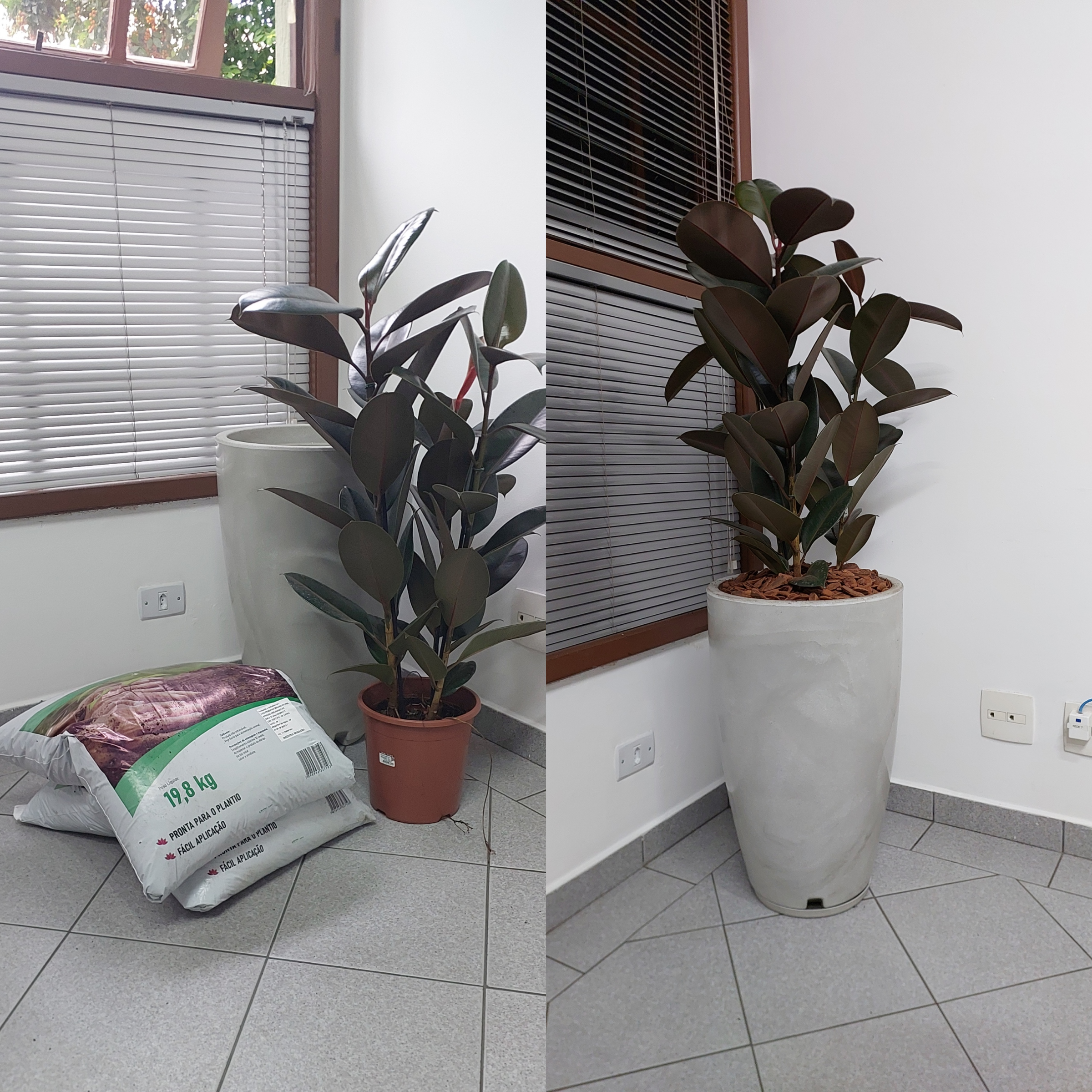 Foto demonstrativa sobre o serviço de montagem de vasos serviço e foto da empresa plantas garden